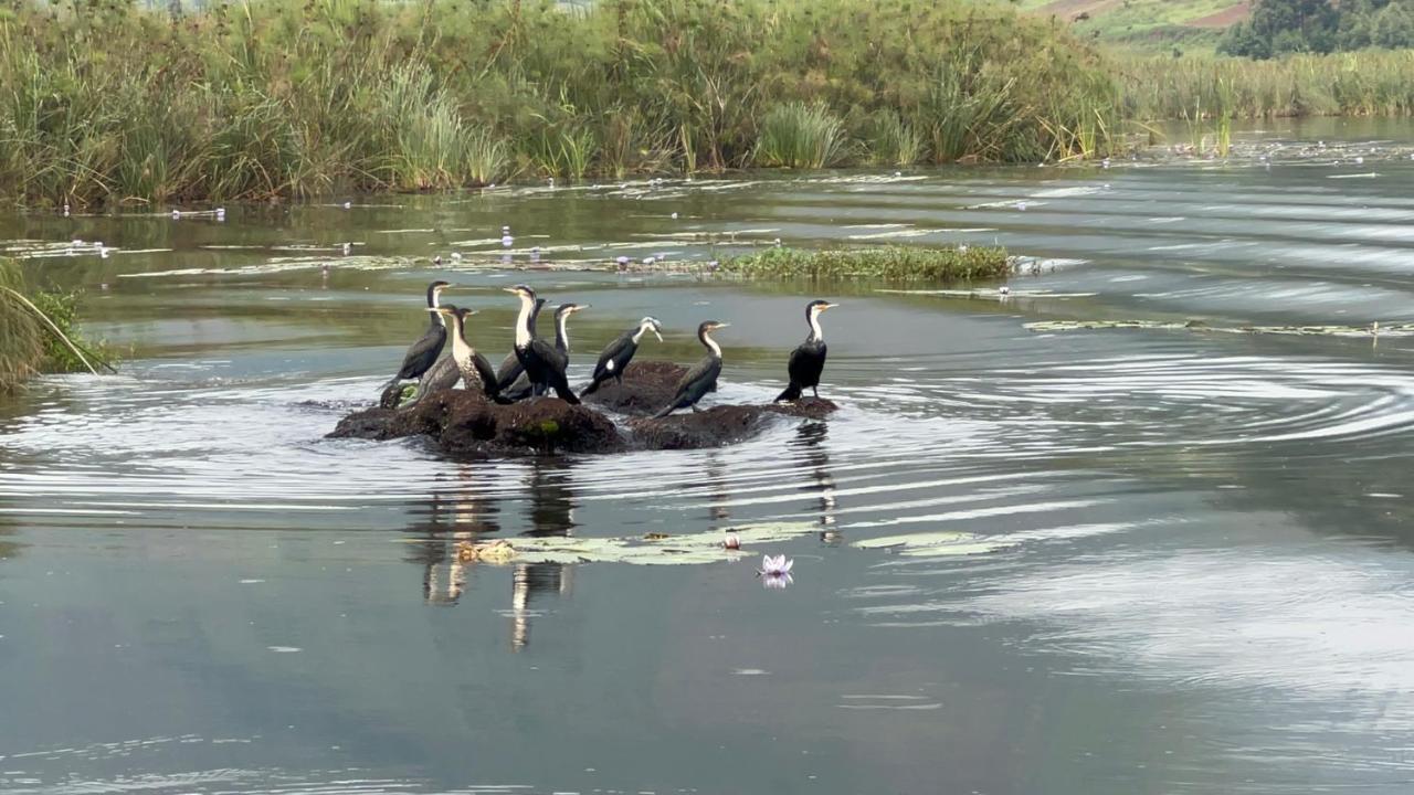 Lake Bunyonyi Rock Resort Kabale Ngoại thất bức ảnh
